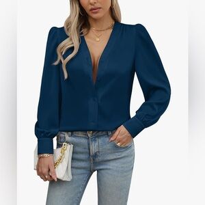 DYLISEA Satin V-Neck Long Sleeve Button Down Blouse